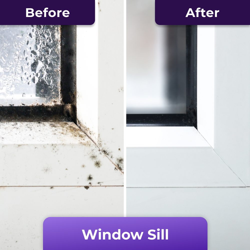 Lunn Store - Mold Remover Gold